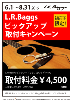 LRBaggs 取付キャンペーン ピックアップ