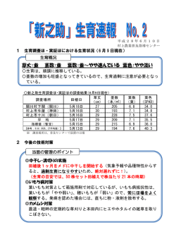 草丈：並 茎数：並 葉数：並～やや進んでいる 葉色：やや淡い