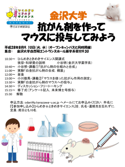 金沢大学 抗がん剤を作って マウスに投与してみよう