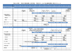 東近江市観光戦略・実行計画