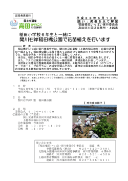関川右岸稲田橋公園で花苗植えを行います