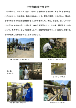中学部職場社会見学