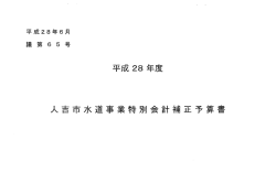 議第65号 平成28年度 人吉市水道事業特別会計補正予算
