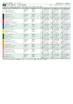 サラ系3歳9組9 サラ系3歳定量