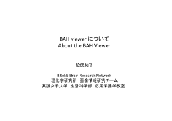 BAH viewer について About the BAH Viewer