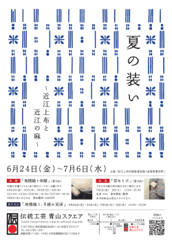 DM_HP用