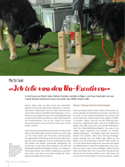 Bericht Spielekurs im Schweizer Hunde Magazin