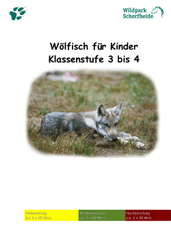 Klasse 3 bis 4 - Wildpark Schorfheide
