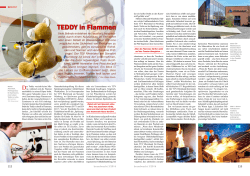Teddy in Flammen (PDF