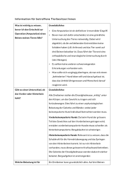 Information für betroffene Tierbesitzer/innen