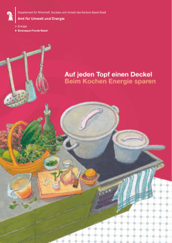 Haushaltflyer 2016 (PDF, 0.5 MB, nicht barrierefrei)