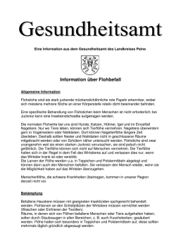 Information über Flohbefall