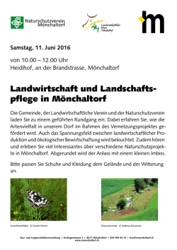 Infoveranstaltung_Vernetzung