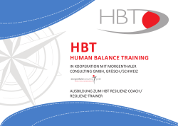human balance training - Morgenthaler Consulting