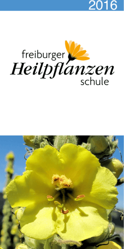 Kursprogramm 2016 - Freiburger Heilpflanzenschule
