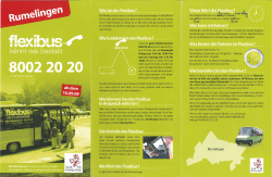 Page 1 Was ist der Fes: Der Flexibus ist ein modernes