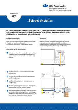 Spiegel einstellen