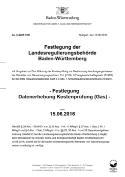 Festlegung Datenerhebung Kostenpr&uuml;fung (Gas)