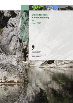 Umweltbericht Kanton Freiburg — Juni 2016