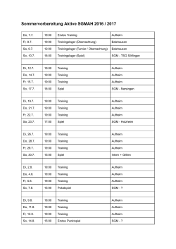 Sommervorbereitung Aktive SGM 2016 / 2017