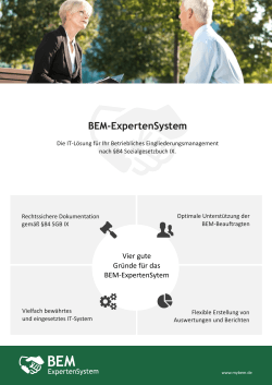 BEM Flyer - BEM-ExpertenSystem