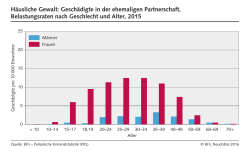 H&auml;usliche Gewalt: Gesch&auml;digte in der ehemaligen Partnerschaft