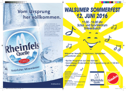Sommerfest Faltblatt