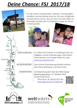 Flyer Freiwilligendienst im "Hogar Las Parras"
