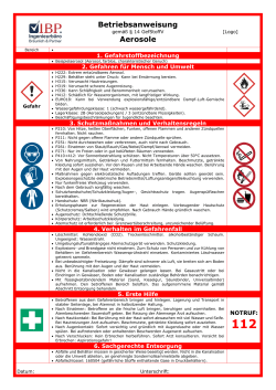 Betriebsanweisung Gefahrstoffe &ndash; Aerosole