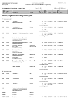IEB - Hochschule Furtwangen