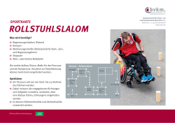 Rollstuhlslalom - Bundesverband für Körper