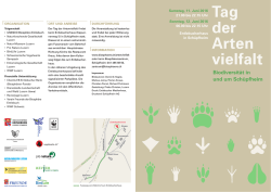 Infoflyer zum Tag der Artenvielfalt