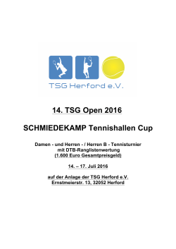 Herren - / Herren B - Tennisturnier der TSG Open 2016 - TSG