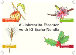 Summerfäscht im Zentrum von Eschen