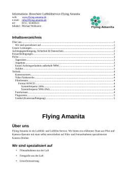 Info Broschüre - Flying Amanita