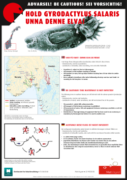 hold gyrodactylus salaris unna denne elva!