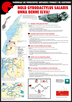 hold gyrodactylus salaris unna denne elva!