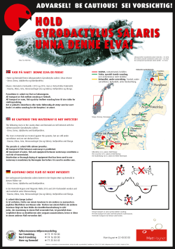 hold gyrodactylus salaris unna denne elva!
