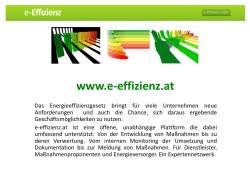 e-Effizienz