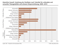 Häusliche Gewalt: Verteilung der Straftaten nach Tatmittel für