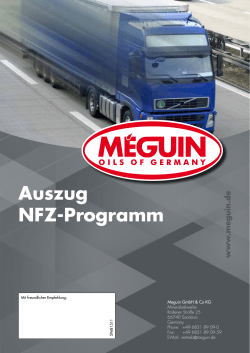 Auszug NFZ-Programm