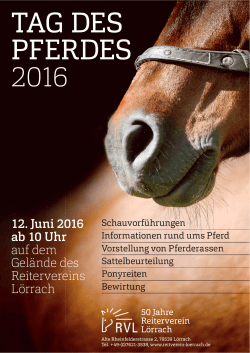 tag des pferdes 2016 - beim Reitverein Lörrach