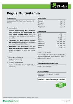 Pegus Multivitamin
