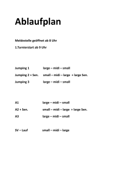 Ablaufplan - SV OG Bübingen