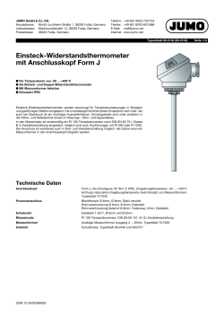 Einsteck-Widerstandsthermometer mit Anschlusskopf Form J