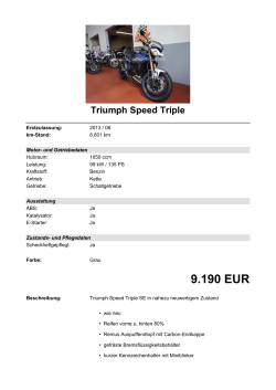 Detailansicht Triumph Speed Triple