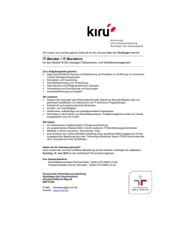 IT-Berater / IT-Beraterin