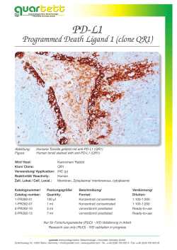 PD-L1 / Rabbit monoclonal QR1 antibody