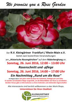 We promise you a Rose Garden - RV Kleingärtner Frankfurt/Rhein