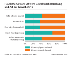 Häusliche Gewalt: Schwere Gewalt nach Beziehung und Art der